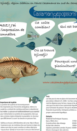 Screenshot Website casamangepoissons